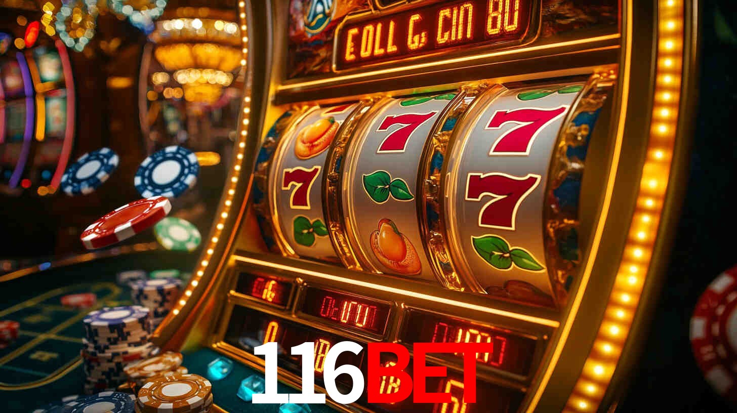 Premium Interface 116bet