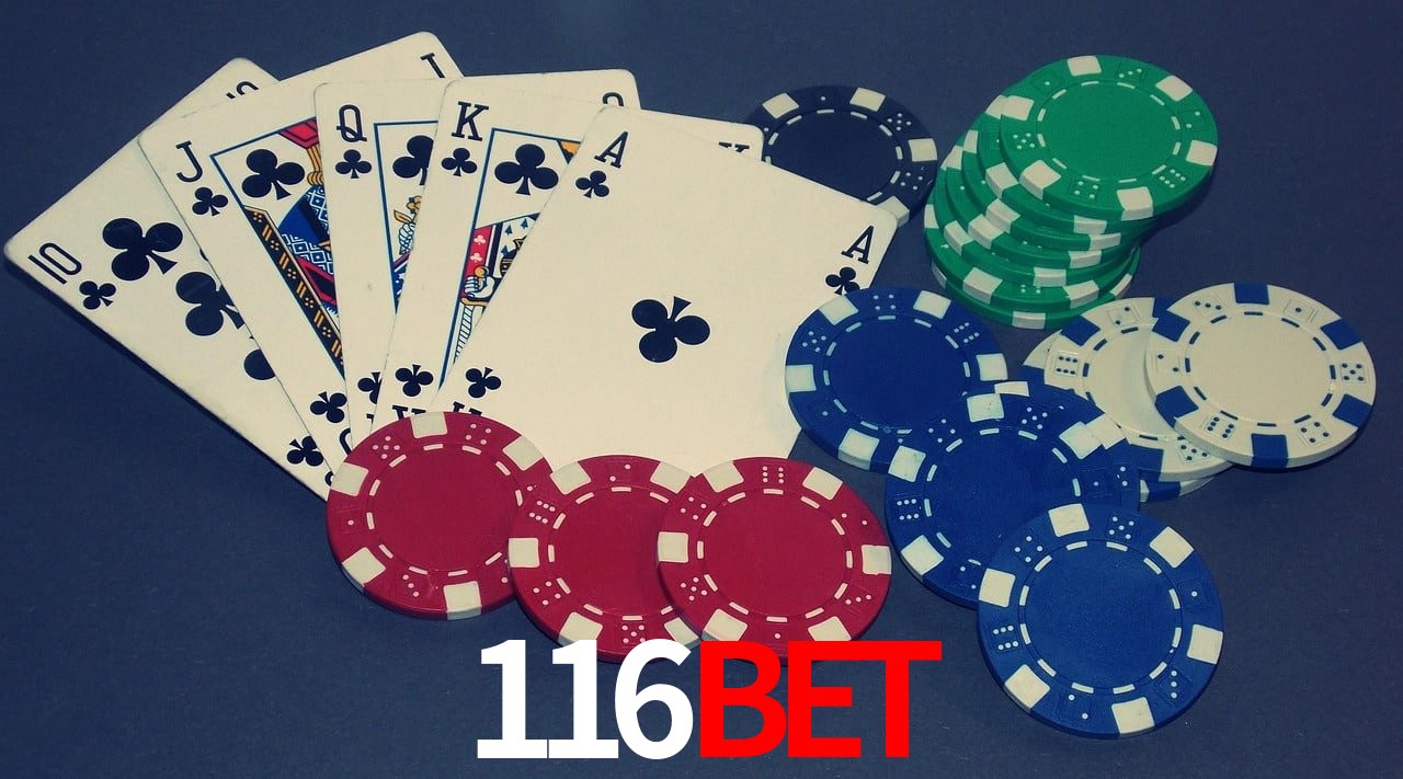 Game Providers 116bet